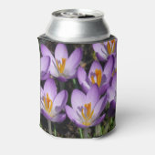 日向の紫色のクロッカス 缶クーラー (缶裏面)