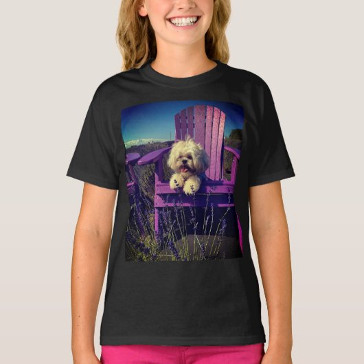 日向ぼっこするシーズー (犬, 子犬) Tシャツ (正面)