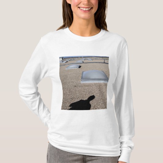 日太陽の照明 Tシャツ (正面)