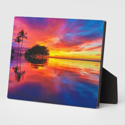 日威厳のある没 |ハワイ州マウイ州ワイレアビーチ フォトプラーク (側面)