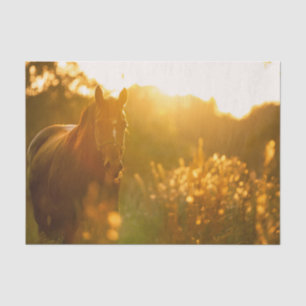 日差しに照らされた馬の美しい光景 薄葉紙