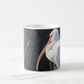 日差しのトキ coffee mug コーヒーマグカップ (中央)
