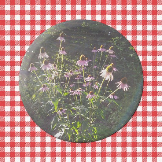 日差しの中のエキナセアの花 ペーパープレート