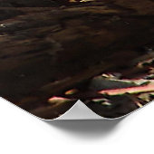 日差しの中のリス ポスター (角)