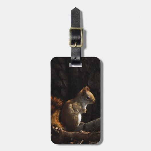日差しの中のリス ラゲッジタグ (正面縦)