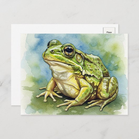 日差しポストクロッシング用はがき内のカエル ポストカード (正面/裏面)