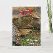 日差し誕生日亀 カード (正面)