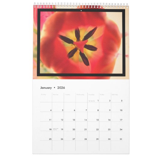 日常の花写真 カレンダー (1月 2026)