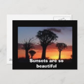 日当たりがとても美しい ポストカード (正面/裏面)