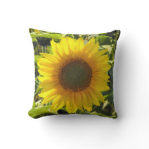 日当たりの良いひまわり