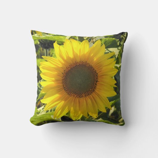 日当たりの良いひまわり クッション (正面)