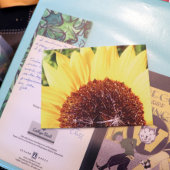 日当たりの良いひまわり ポストカード