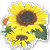 日当たりの良いサンフラワーコンター シール (正面)
