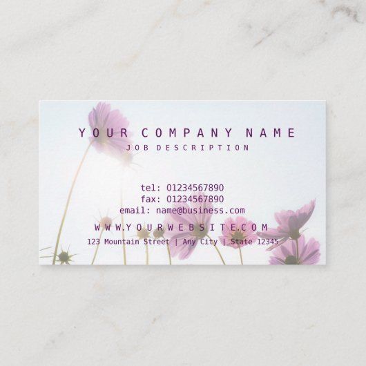 日当たりの良いスマイル/ピンクデイジー花フローラ 名刺 (裏面)