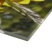 日当たりの良いヒマワリのガラス切り盤 カッティングボード (角)