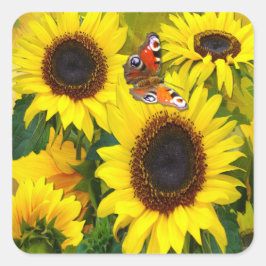 日当たりの良いヒマワリ スクエアシール