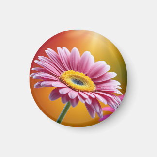 日当たりの良いピンクのデイジーの花 マグネット