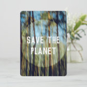 日当たりの良い松林 カード (スタンド正面)