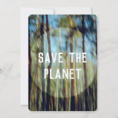 日当たりの良い松林 カード (正面)