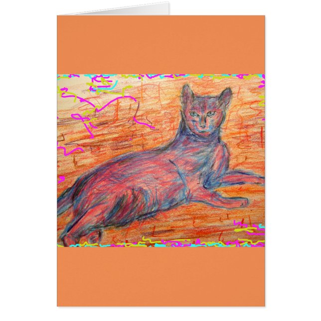 日当たりの良い石畳の猫 (正面)