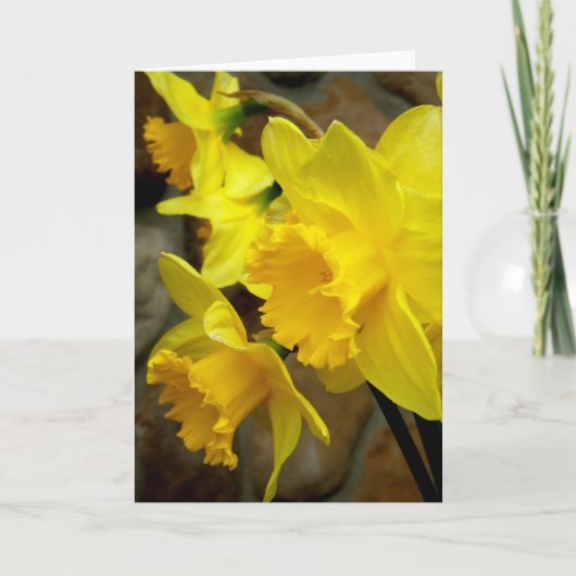 日当たりの良い花びら カード (正面)