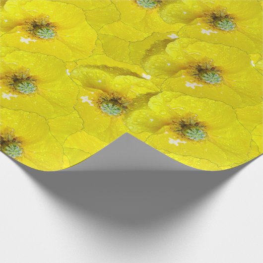 日当たりの良い黄色いコーンのポピー模様 ラッピングペーパー (角)