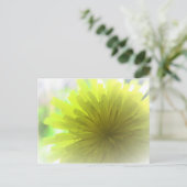 日当たりの良い黄色いタンポポのキク科の花 ポストカード (スタンド正面)