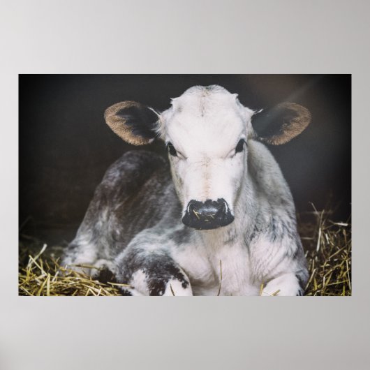 日忙し作物 ポスター (正面)