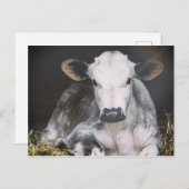 日忙し作物 ポストカード (正面/裏面)