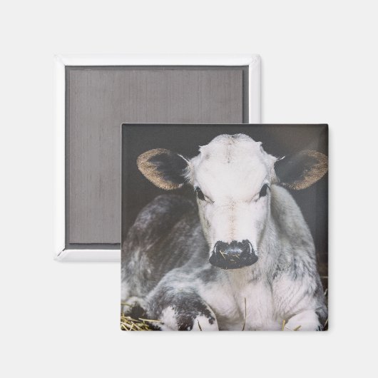 日忙し作物 マグネット (正面/裏面)