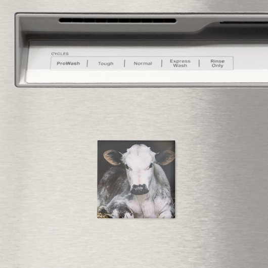 日忙し作物 マグネット (インサイチュ (食洗機))