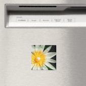 日恋しく思照 – 日付を保存 マグネット (インサイチュ (食洗機))