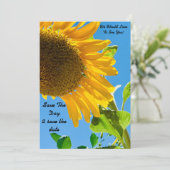 日救にひまわりカードを保存 セーブザデート (スタンド正面)