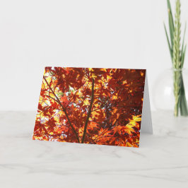 日日本のに楓 カード