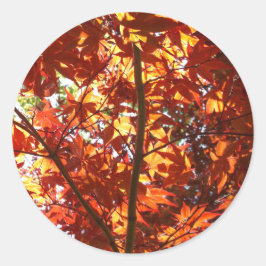 日日本のに楓 ラウンドシール