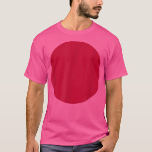 日日本の朝日の丸 Tシャツ