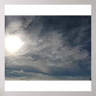 日晒し ポスター