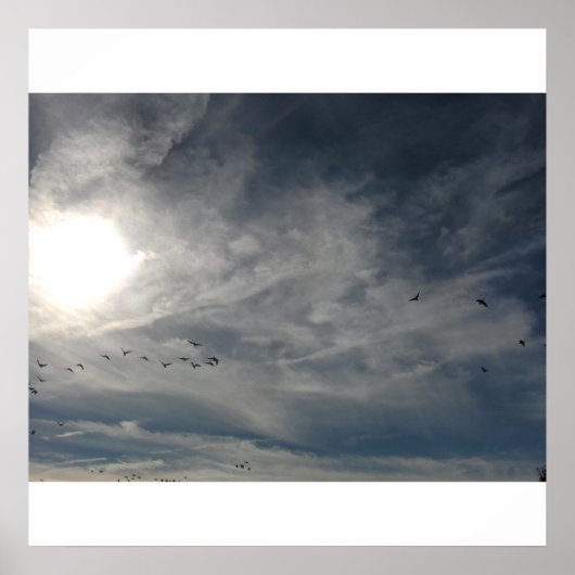 日晒し ポスター (正面)