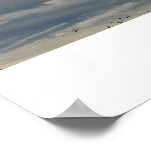 日晒し ポスター (角)