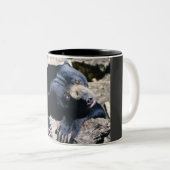 日曜日くまのコーヒーカップ ツートーンマグカップ (正面右)