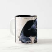 日曜日くまのコーヒーカップ ツートーンマグカップ (正面左)