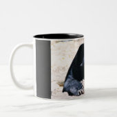 日曜日くまのコーヒーカップ ツートーンマグカップ (左)