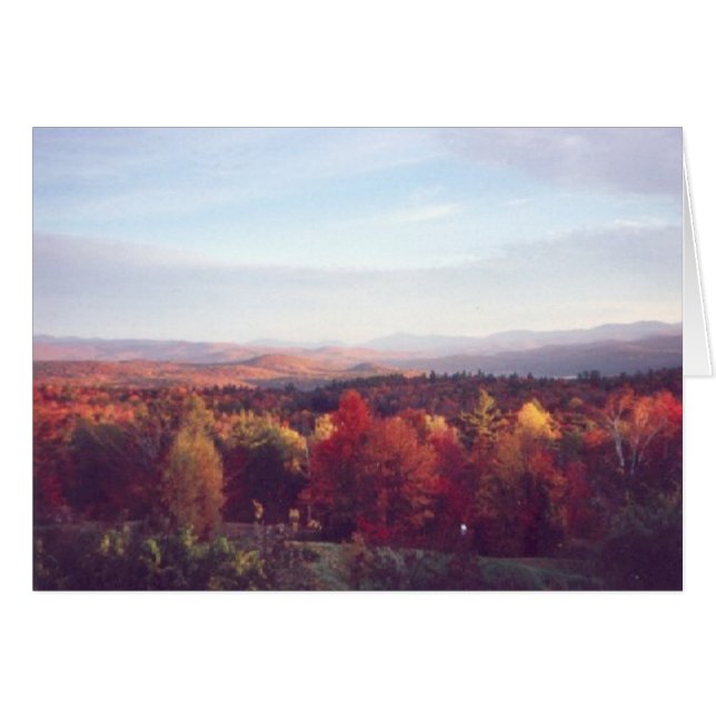 "日曜日つかまえます梢"を (正面横)