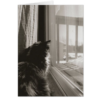 日曜日に待っていること