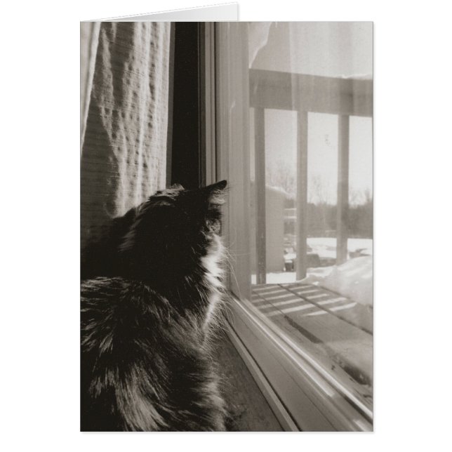 日曜日に待っていること (正面)