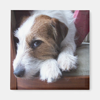 日曜日に自宅で マグネット