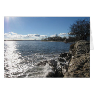 日曜日のシャワー