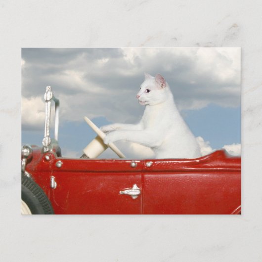 日曜日のドライブ ポストカード (正面)