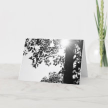 日曜日のメッセージカードw/envelopで歩くこと