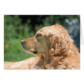 日曜日の不精な午後